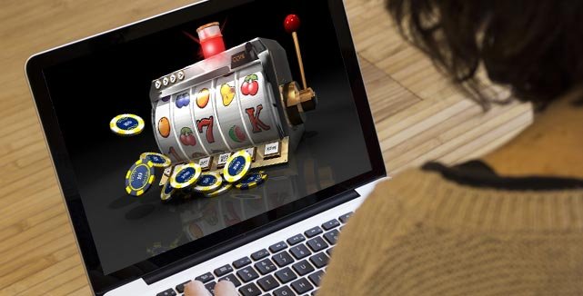 Discover Mr Cat Casino & Sportsbook Your Ultimate Gaming Experience