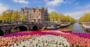 Cultuur van Craft Bier in Nederland Dorst en Ontdekking