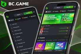 Descubre la Diversión y Oportunidades en el Casino BC Game