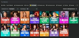 Understanding the Privacy Policy of JB Casino 426125941