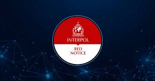 Understanding the Role of Interpol Defense Lawyers in International Law