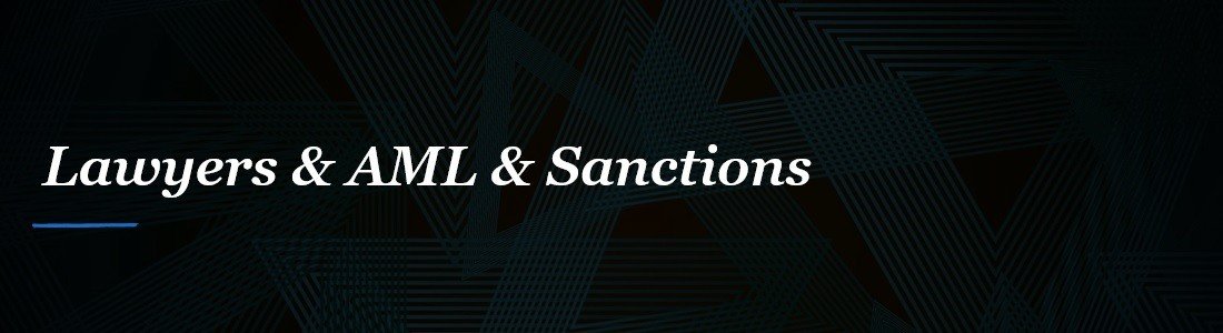 Understanding the Role of Sanctions Lawyers in Navigating Complex Regulations