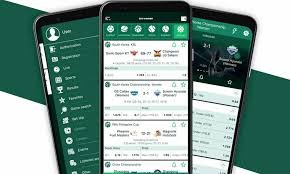 About BetWinner A Comprehensive Guide to Online Betting