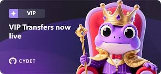 Exploring the World of Cybet Casino UK Trends and Insights