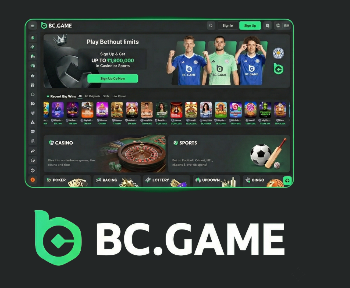Understanding the BC.Game Login Process A Comprehensive Guide -321747541